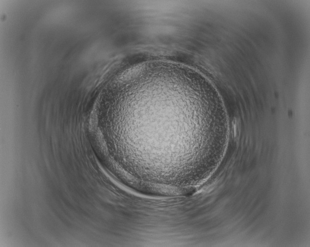 X0000058831251200510031338