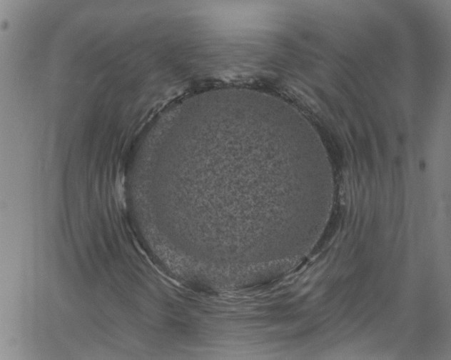X0000058831298200510031336