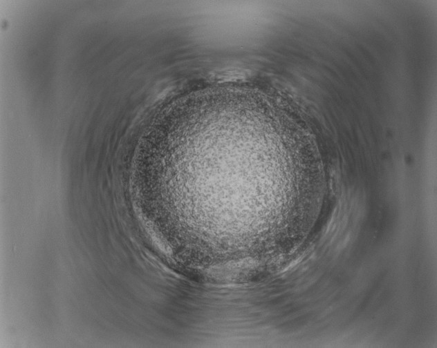 X0000058831393200510031334