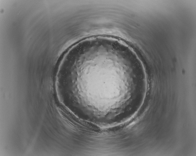 X0000058831505200510031333
