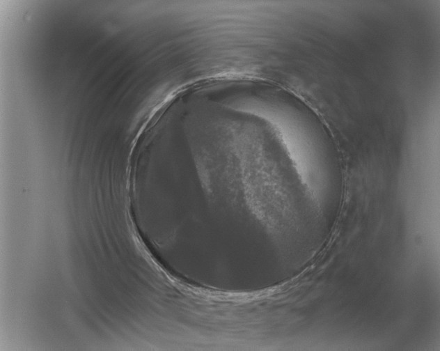 X0000058830002200510071833