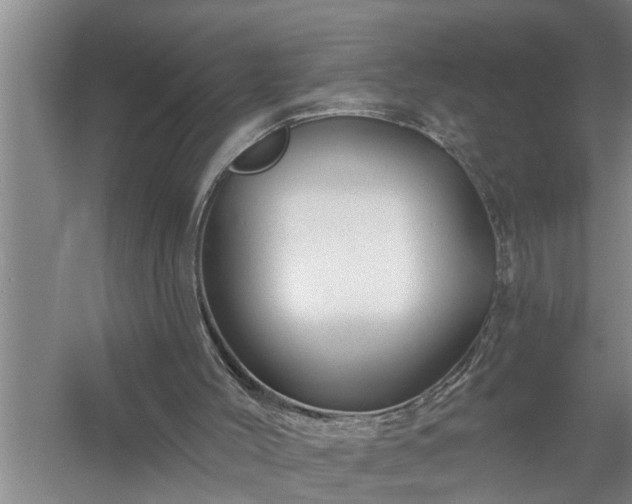 X0000058830004200510071833