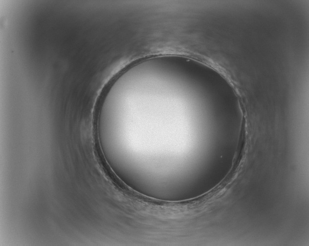 X0000058830008200510071833