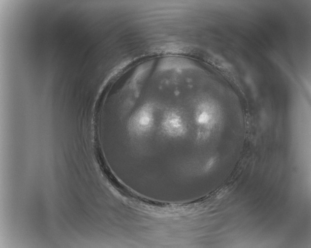 X0000058830012200510071833