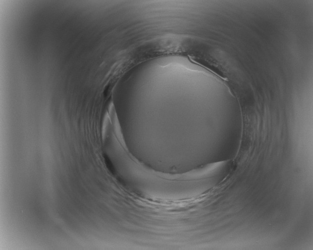 X0000058830035200510071832