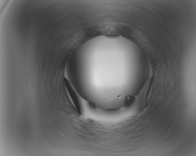 X0000058830037200510071832