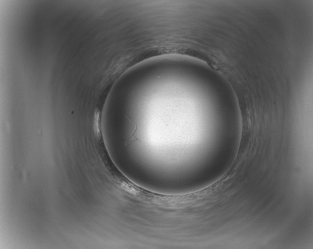 X0000058830041200510071832