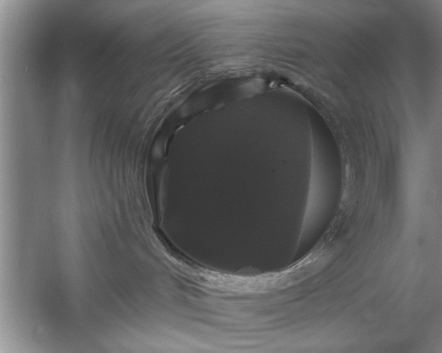 X0000058830048200510071832