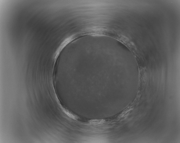 X0000058830051200510071831