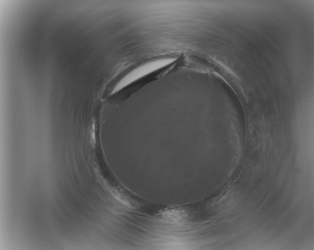 X0000058830067200510071832