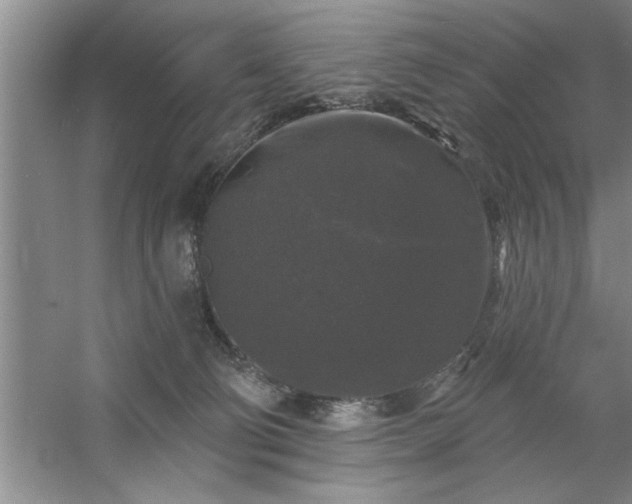 X0000058830130200510071831