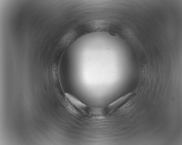 X0000058830138200510071831