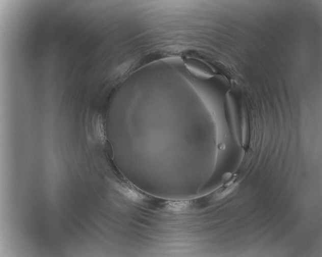 X0000058830143200510071831