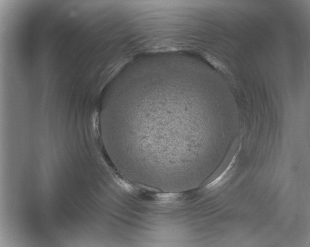 X0000058830192200510071831