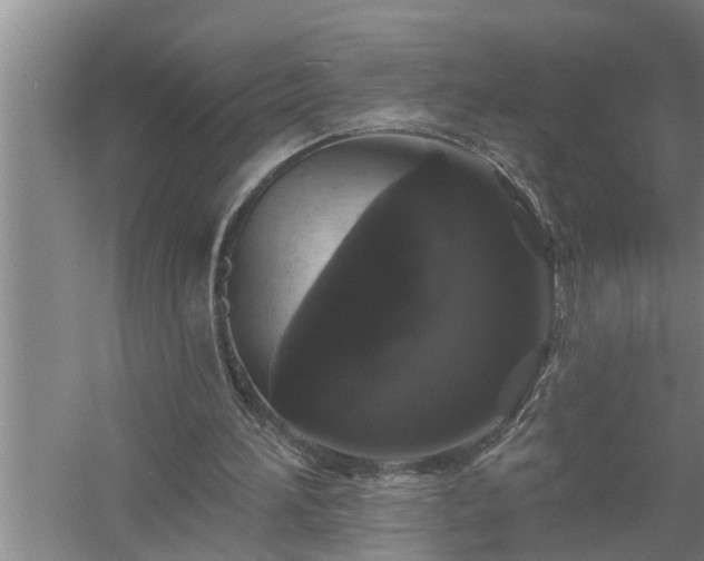 X0000058830196200510071830
