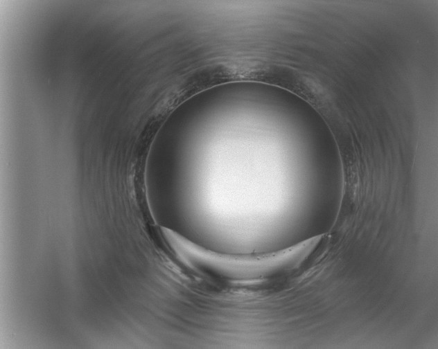 X0000058830221200510071829
