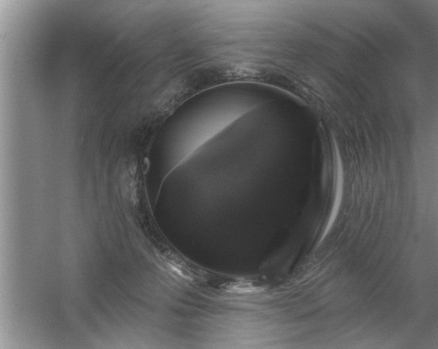 X0000058830223200510071829