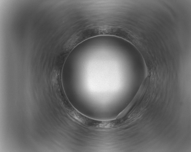X0000058830225200510071829