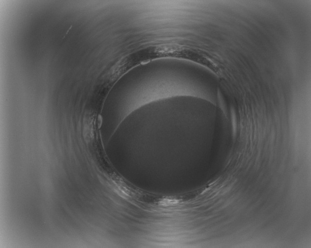 X0000058830227200510071829