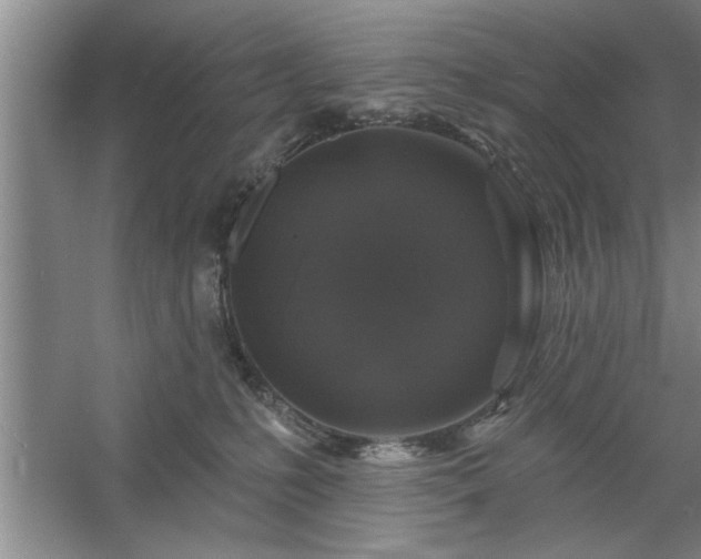 X0000058830231200510071829