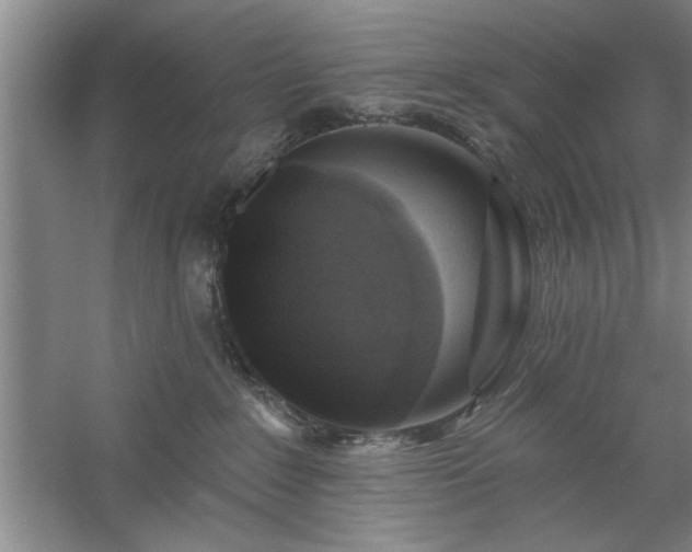 X0000058830235200510071829
