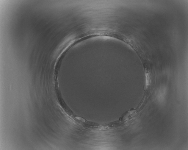 X0000058830243200510071828