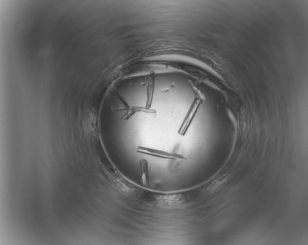 X0000058830281200510071829