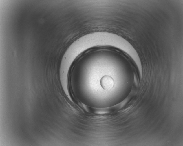 X0000058830287200510071829