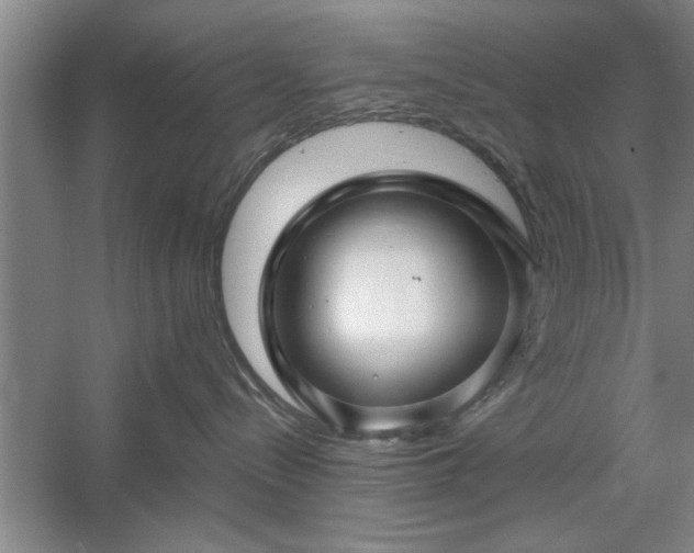 X0000058830288200510071829