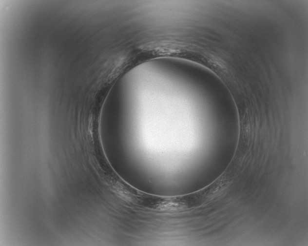 X0000058830315200510071828