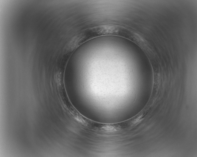 X0000058830326200510071827