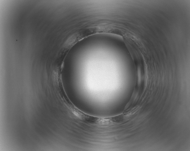 X0000058830333200510071827