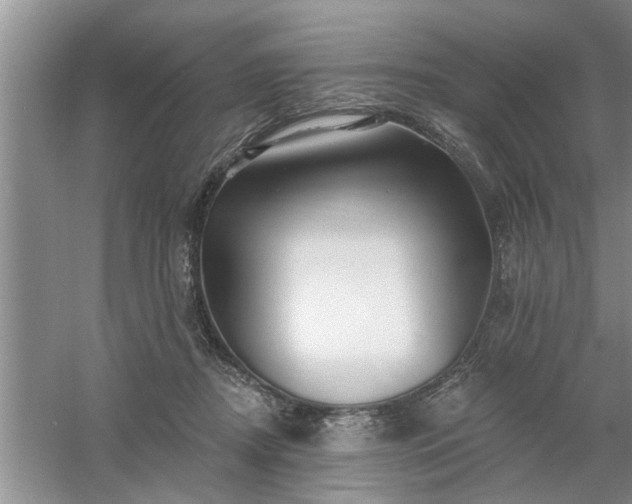 X0000058830362200510071827