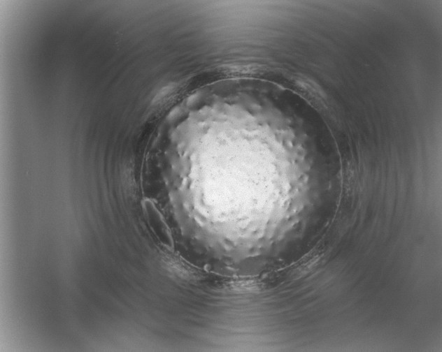 X0000058830377200510071827
