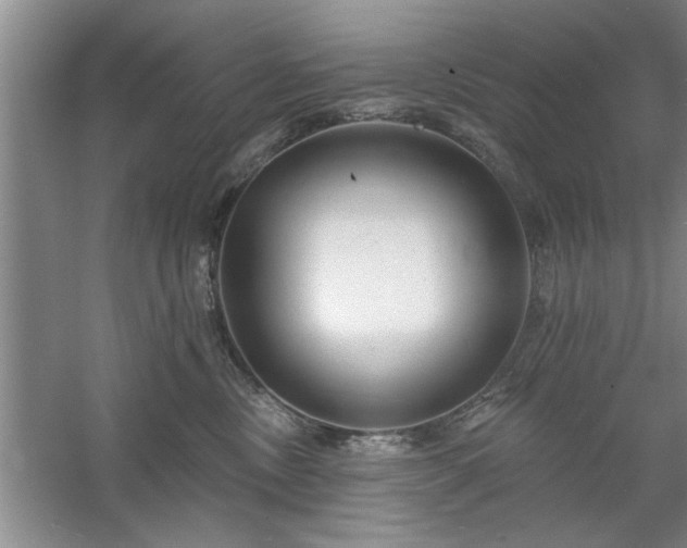 X0000058830378200510071827