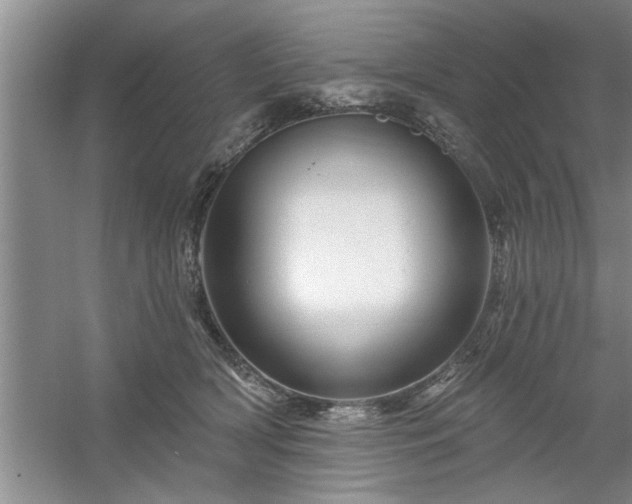 X0000058830418200510071826