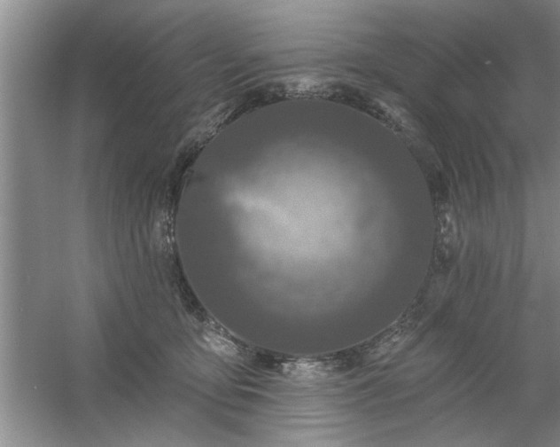 X0000058830419200510071826