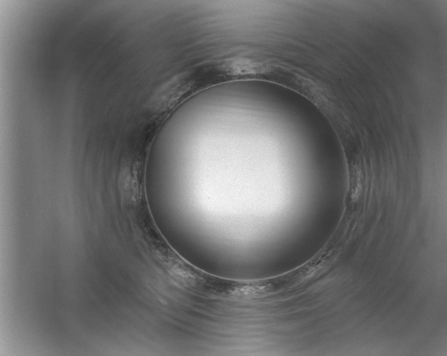 X0000058830422200510071826
