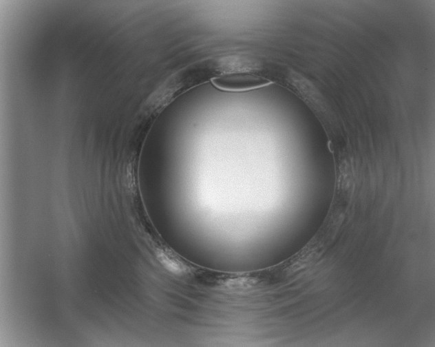 X0000058830426200510071826