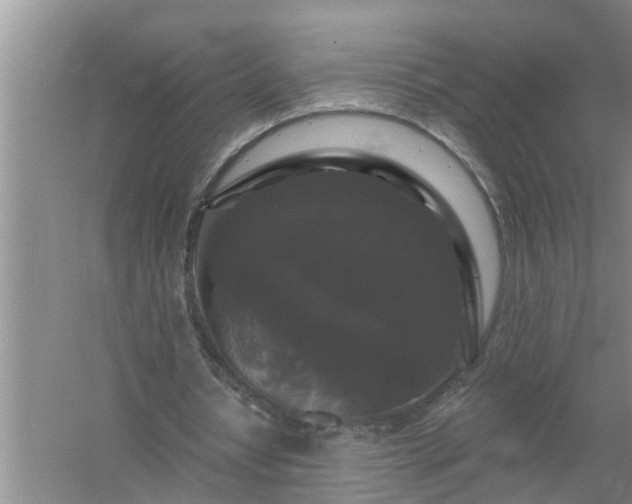 X0000058830434200510071825