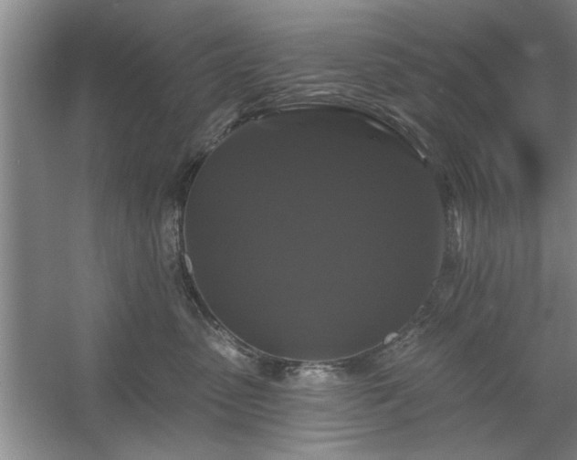 X0000058830475200510071826