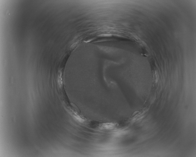 X0000058830479200510071826
