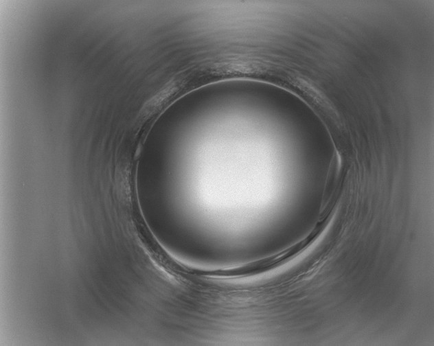 X0000058830489200510071825