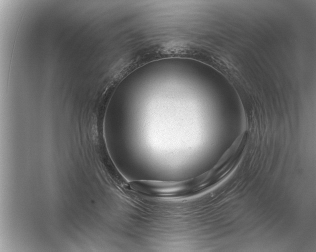X0000058830508200510071824