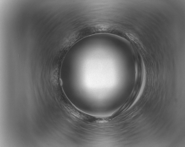 X0000058830509200510071824