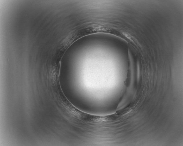 X0000058830513200510071824