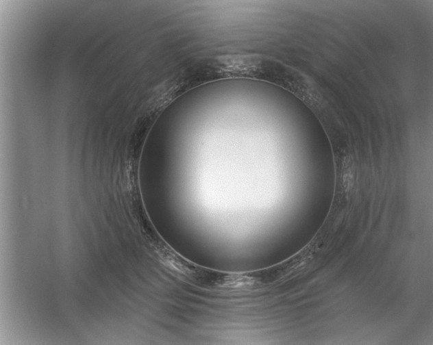 X0000058830514200510071824