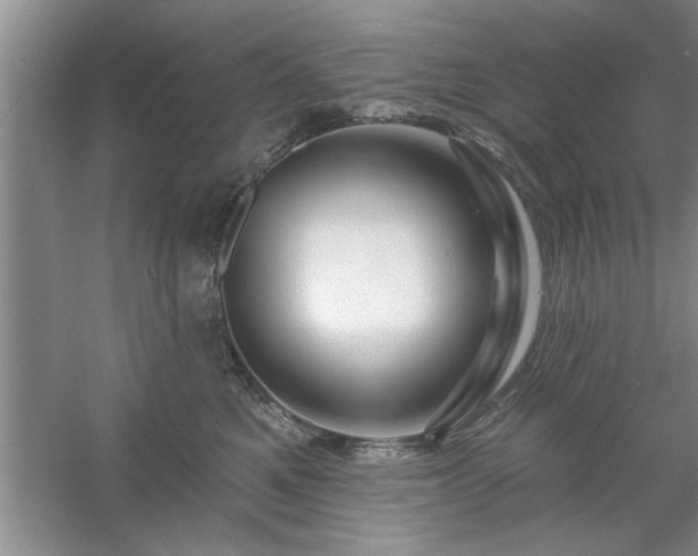 X0000058830521200510071824