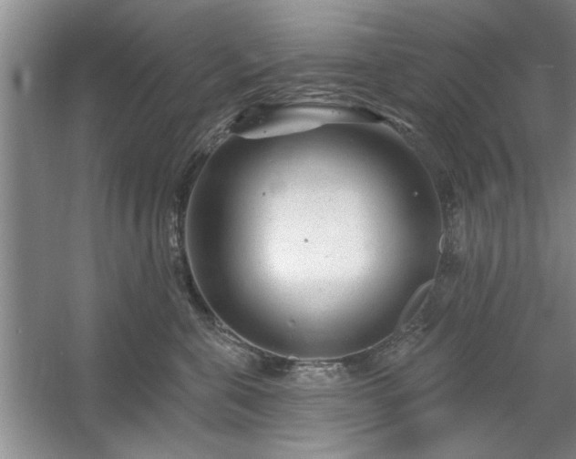X0000058830571200510071824