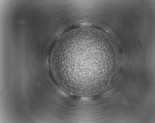 X0000058830573200510071824
